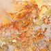 Natura 2011 / olio e fibre vegetali su tela / 80cm x 80cm